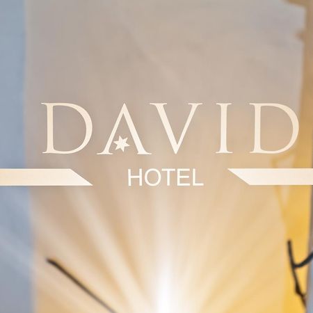 Hotel David An Der Donau เรเกนส์บวร์ก ภายนอก รูปภาพ